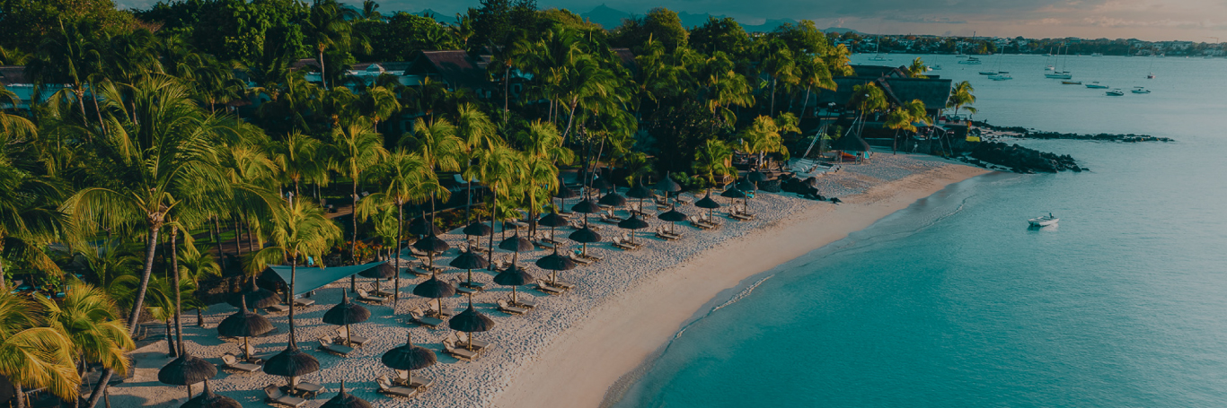ISLAND DELIGHTS