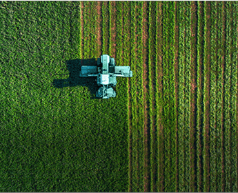 Agriculture